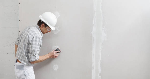 Best Commercial Painting  in Pierce, CO